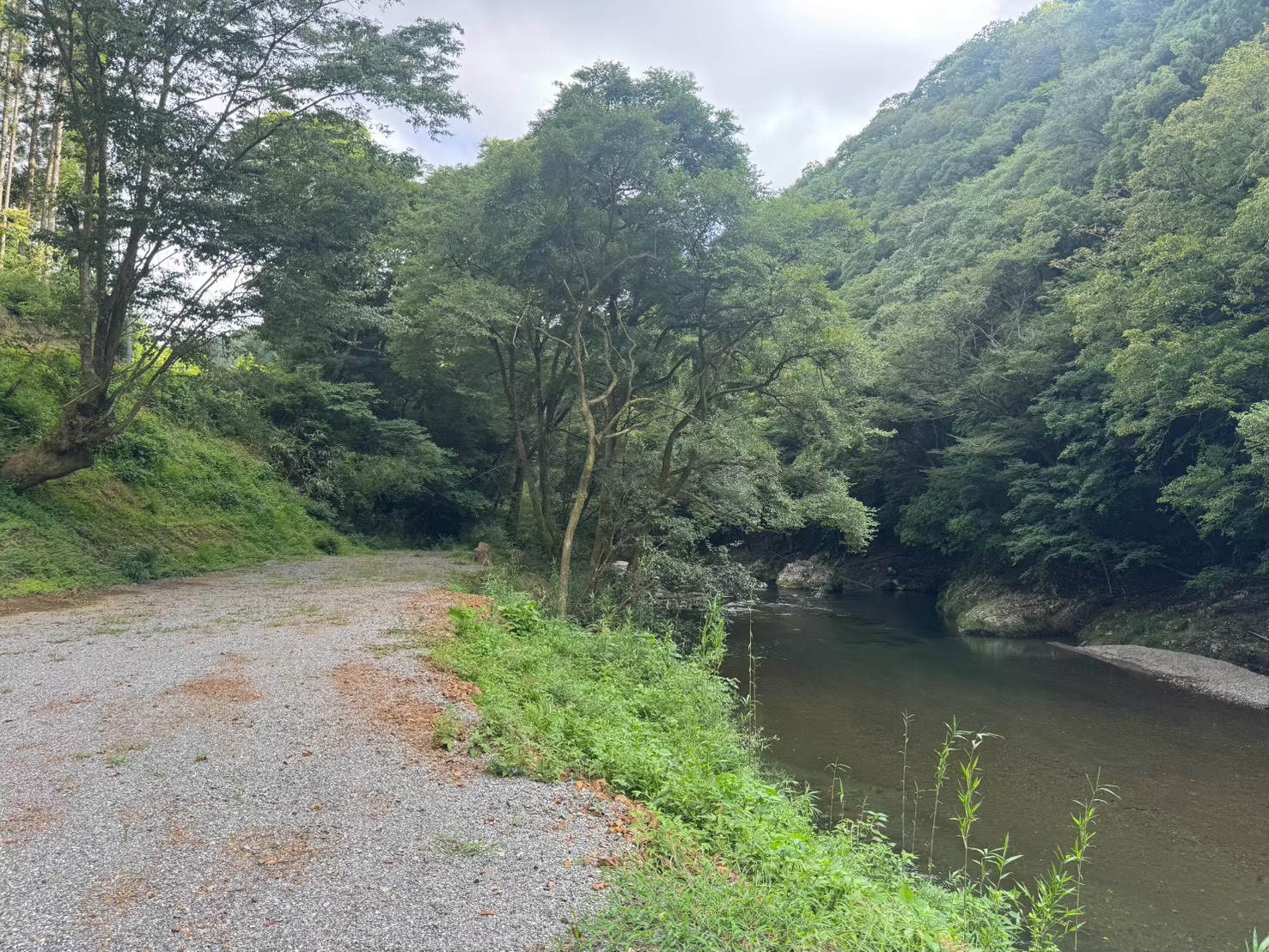 Aサイトの川辺と林道